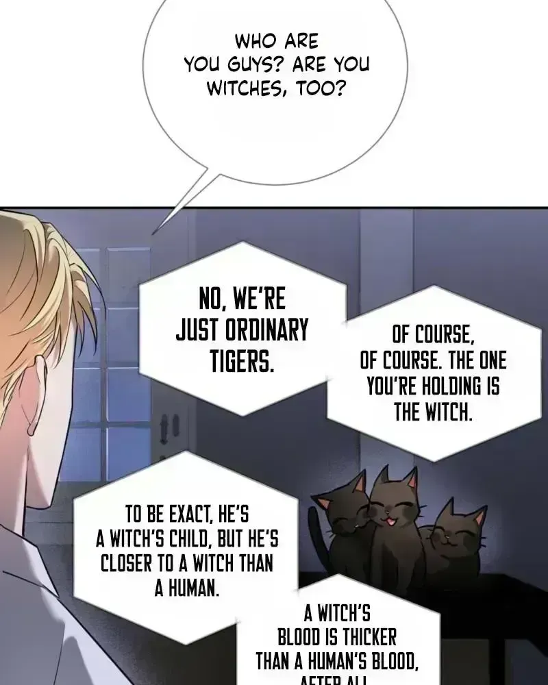 Read Tinder Box chapter 2 image 71 on Lezhin