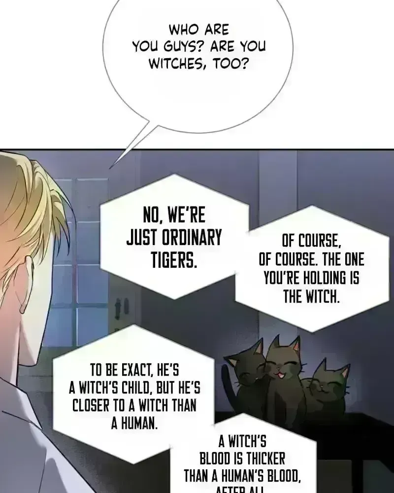 Read Tinder Box chapter 5.2 image 71 on Lezhin