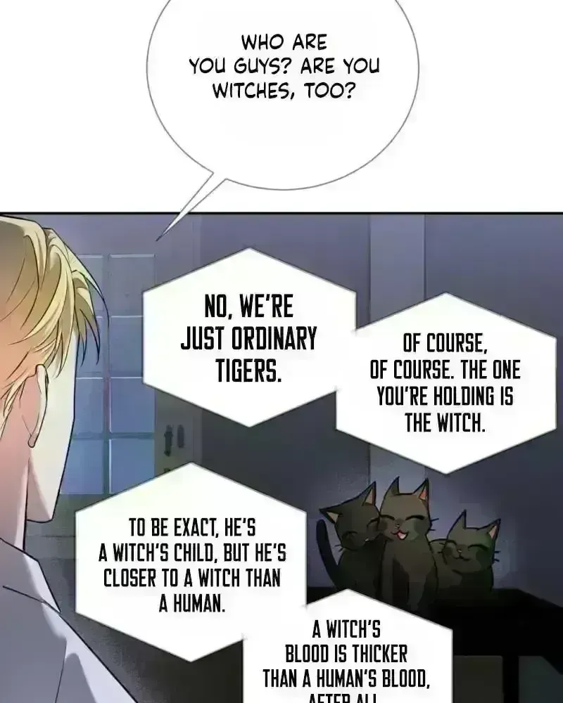 Read Tinder Box chapter 5.7 image 71 on Lezhin