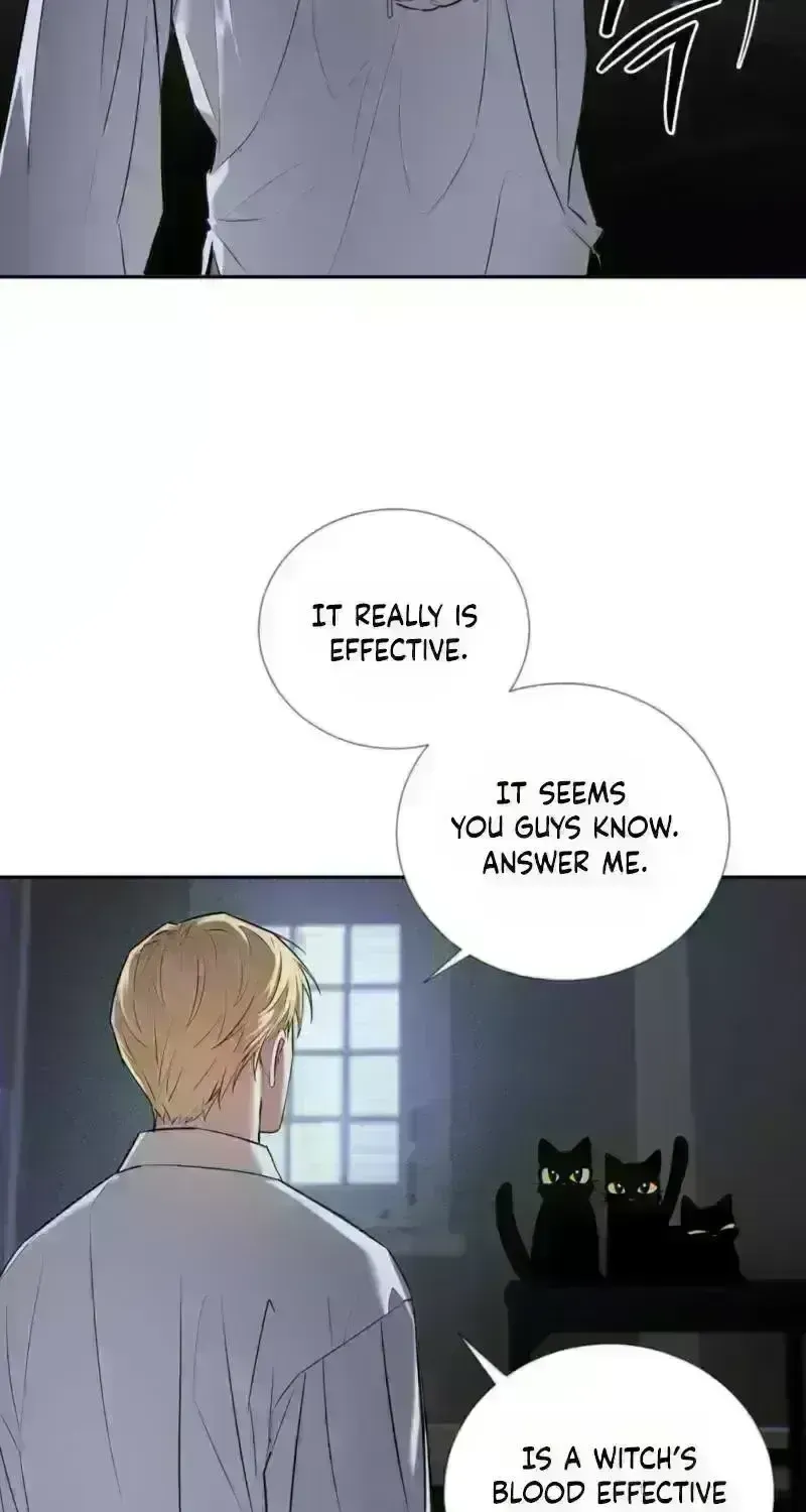 Read Tinder Box chapter 5 image 66 on Lezhin