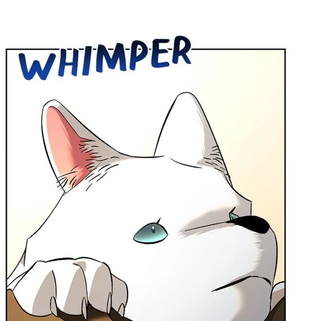 Read To Be His Wish chapter 29 image 95 on Lezhin
