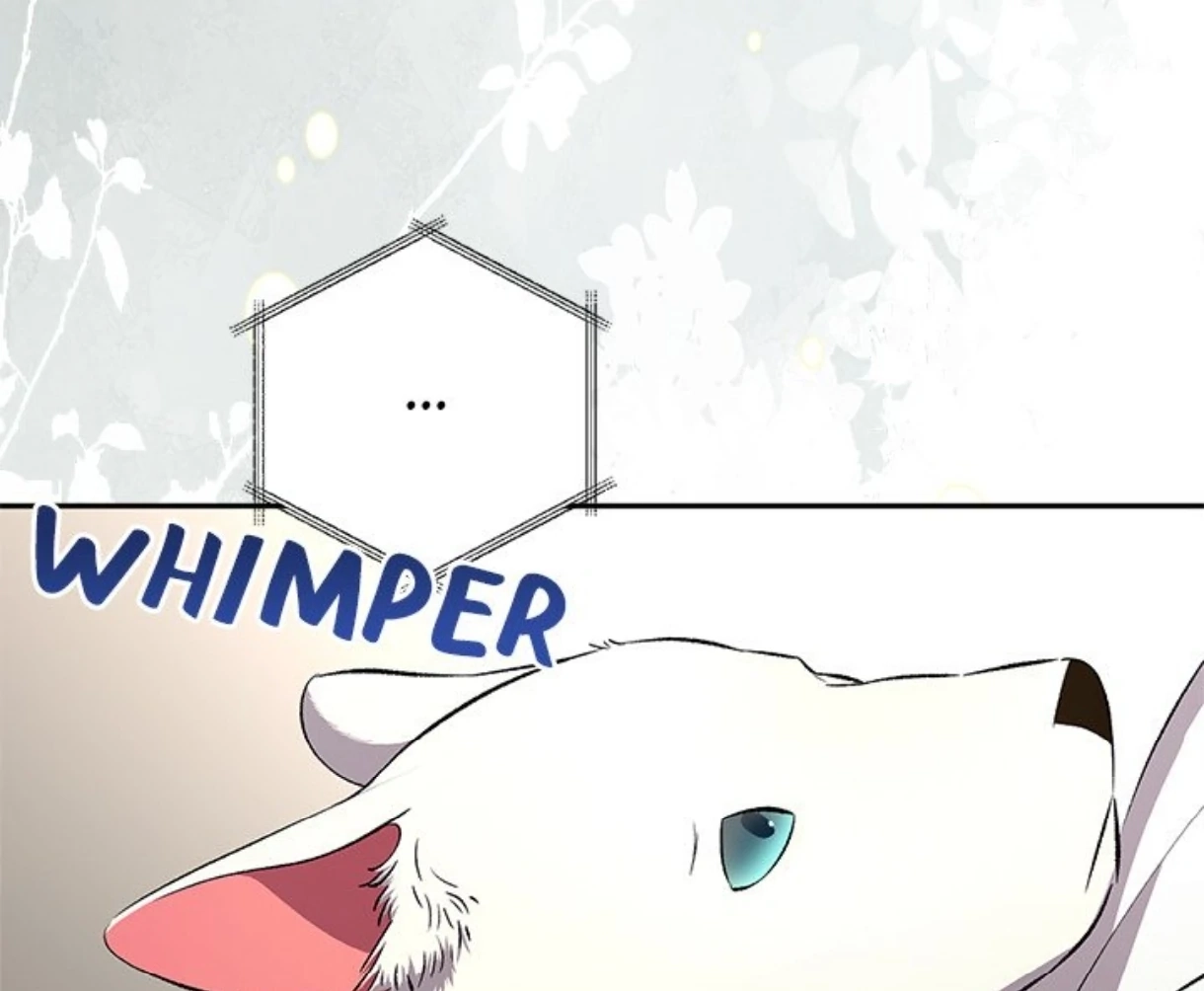 Read To Be His Wish chapter 59 image 32 on Lezhin