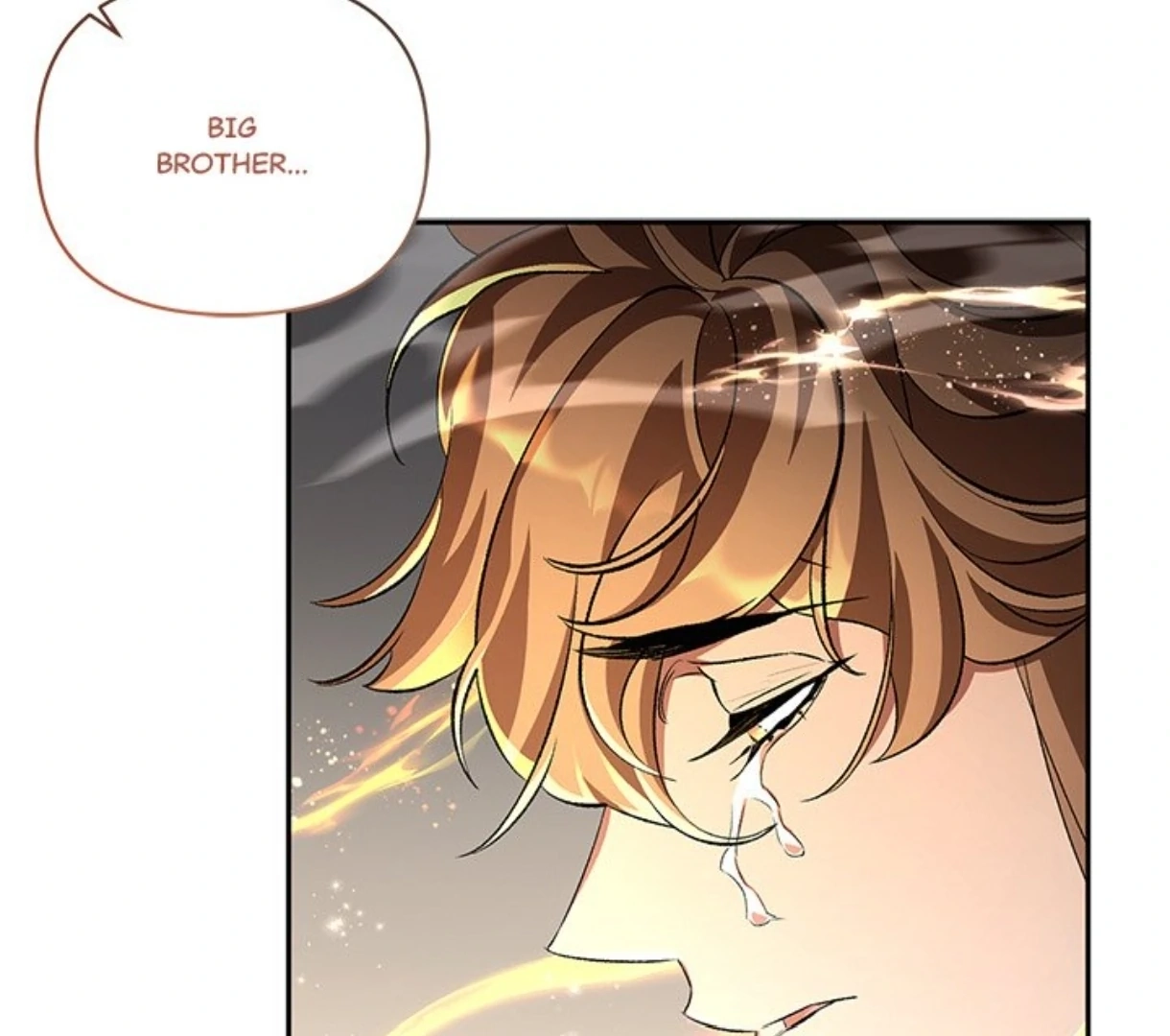 Read To Be His Wish chapter 63 image 85 on Lezhin
