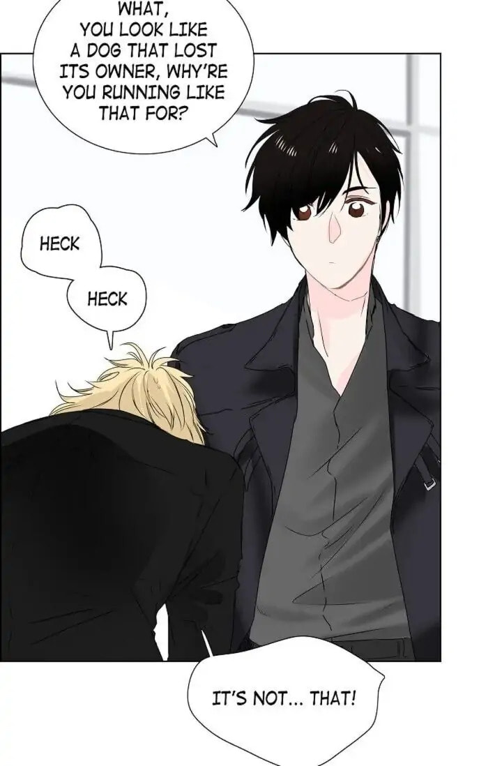 Read To Catch a Falling Star chapter 11 image 41 on Lezhin