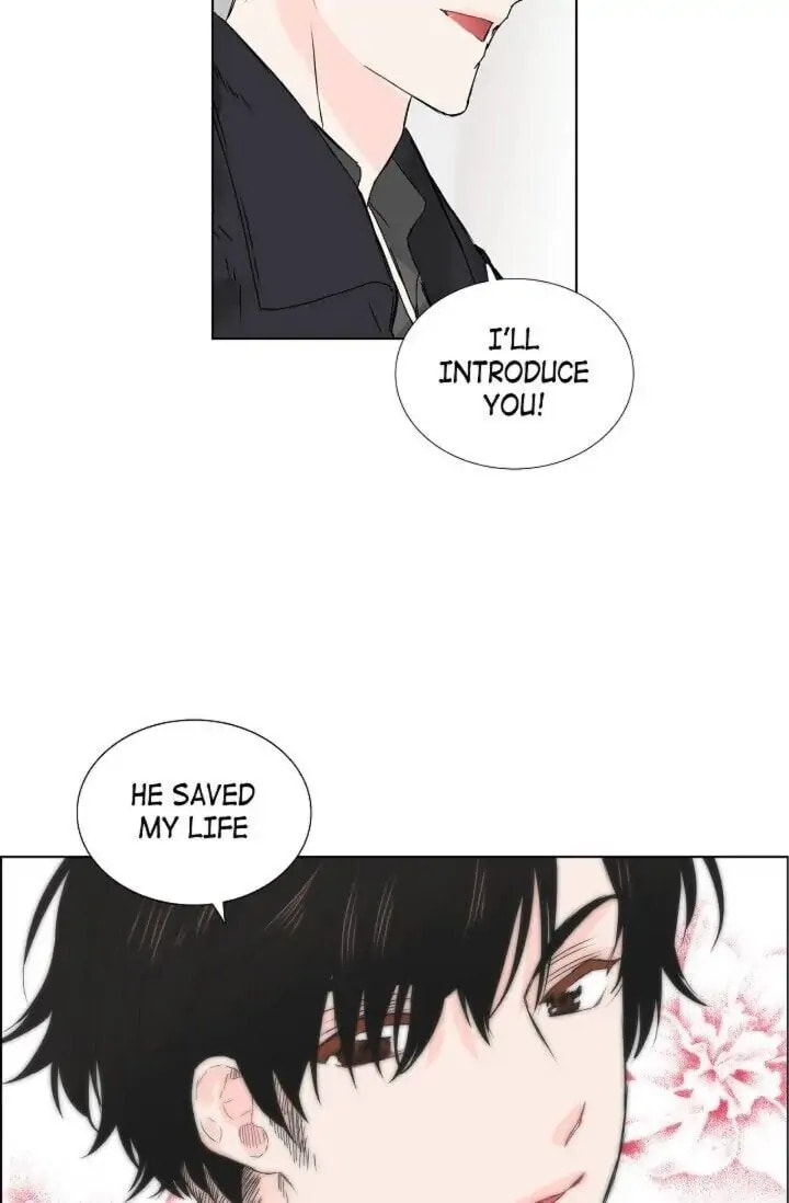 Read To Catch a Falling Star chapter 11 image 45 on Lezhin