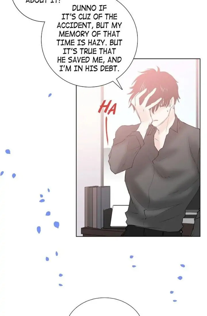 Read To Catch a Falling Star chapter 13 image 44 on Lezhin