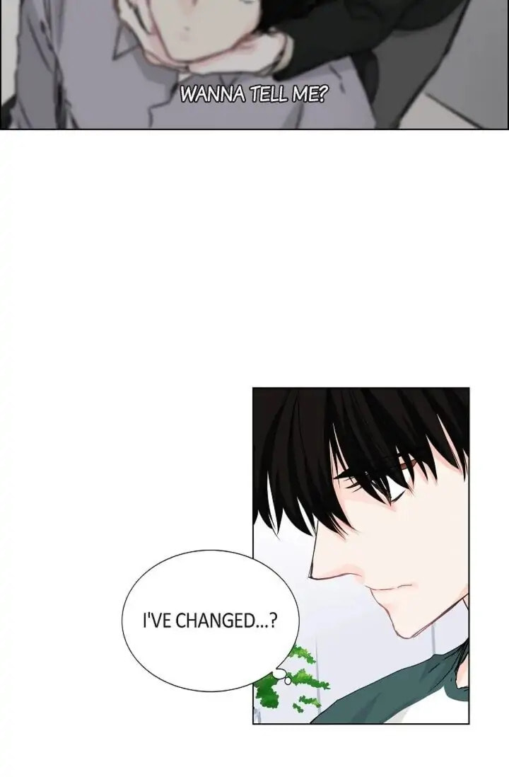 Read To Catch a Falling Star chapter 25 image 16 on Lezhin