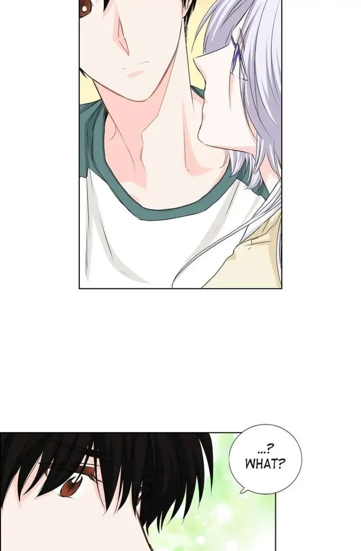 Read To Catch a Falling Star chapter 26 image 27 on Lezhin