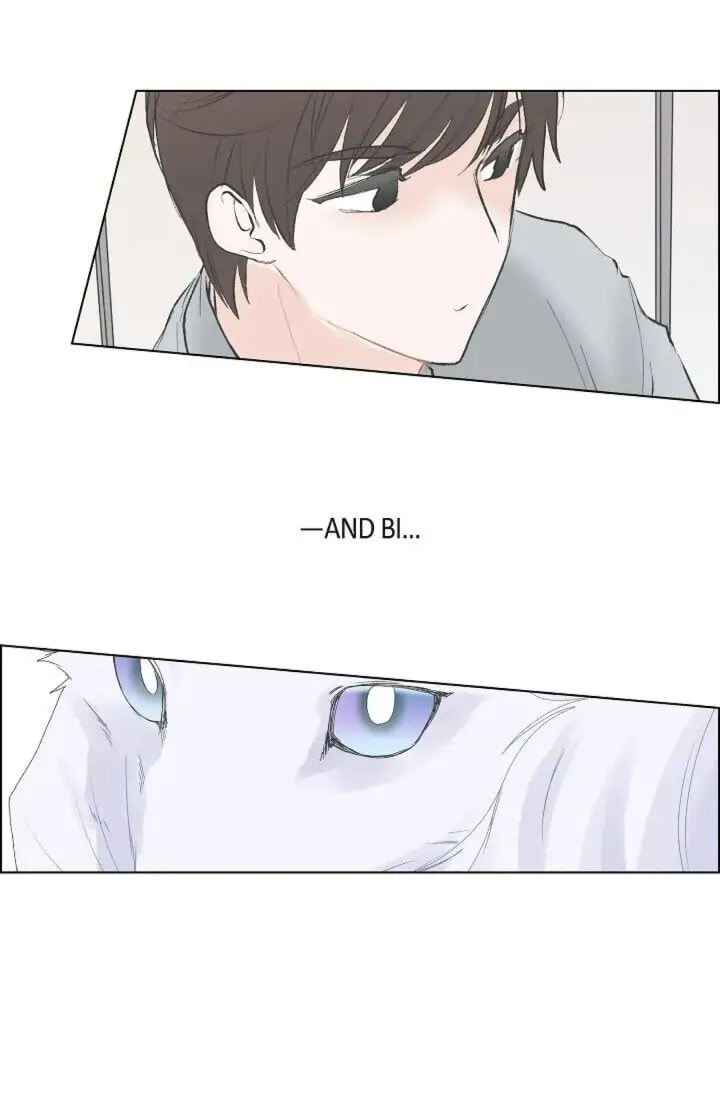 Read To Catch a Falling Star chapter 26 image 37 on Lezhin