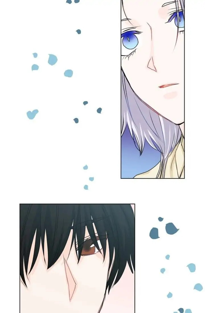 Read To Catch a Falling Star chapter 26 image 39 on Lezhin