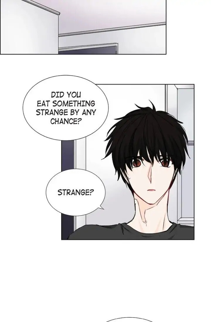 Read To Catch a Falling Star chapter 31 image 10 on Lezhin