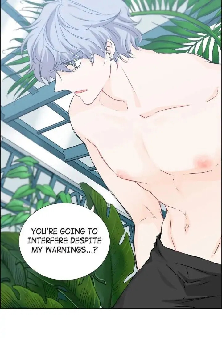 Read To Catch a Falling Star chapter 31 image 23 on Lezhin