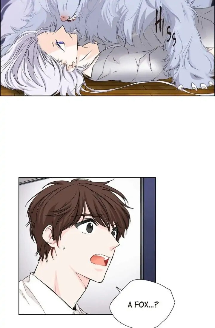 Read To Catch a Falling Star chapter 31 image 46 on Lezhin