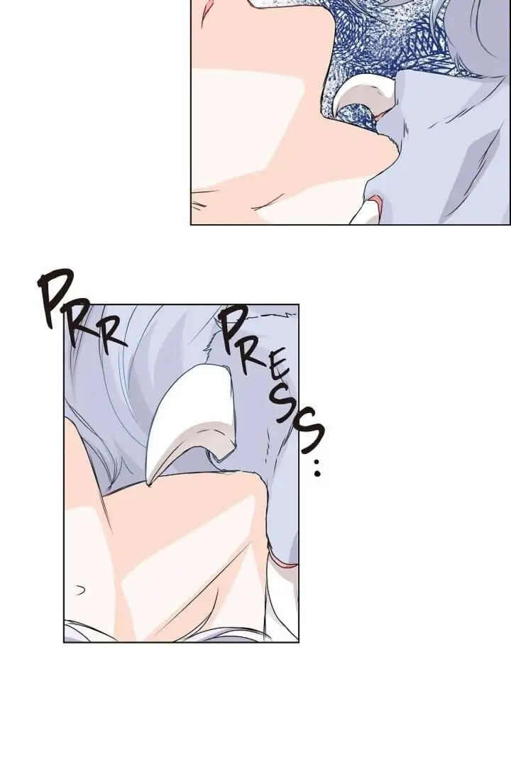 Read To Catch a Falling Star chapter 31 image 50 on Lezhin