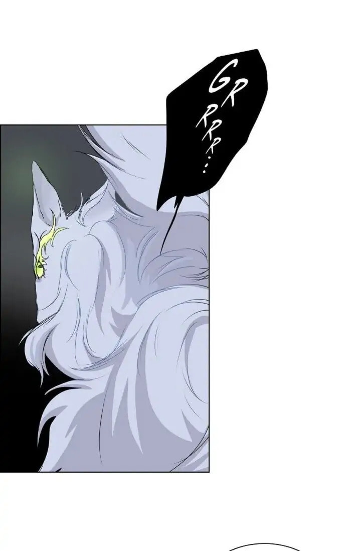 Read To Catch a Falling Star chapter 31 image 52 on Lezhin