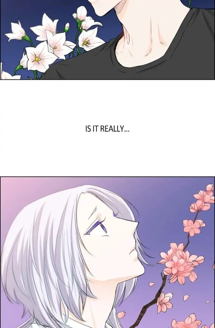 Read To Catch a Falling Star chapter 31 image 7 on Lezhin