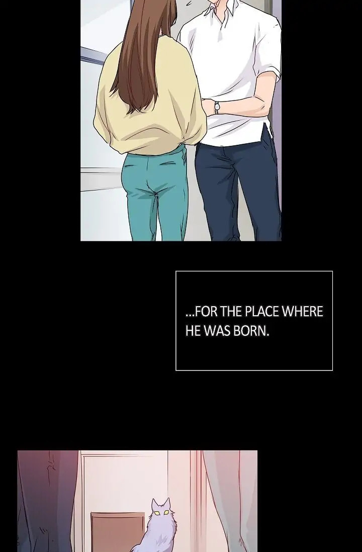 Read To Catch a Falling Star chapter 39 image 18 on Lezhin