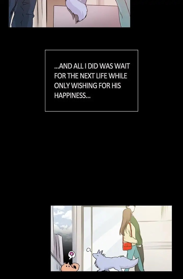 Read To Catch a Falling Star chapter 39 image 19 on Lezhin