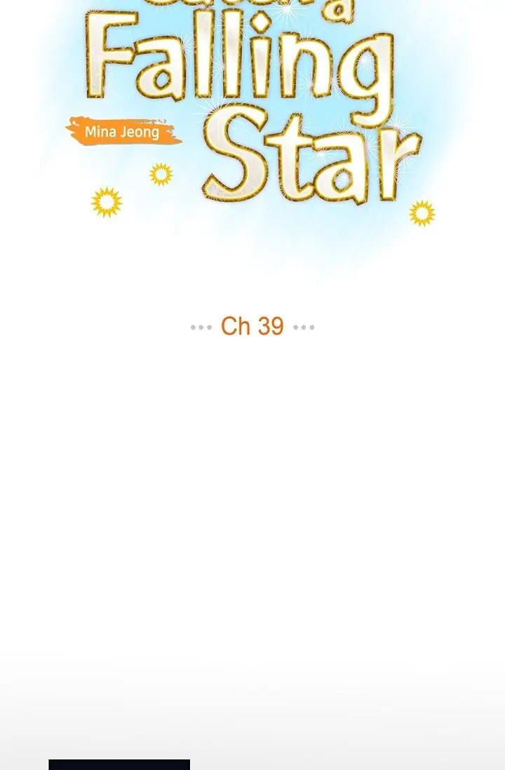 Read To Catch a Falling Star chapter 39 image 9 on Lezhin