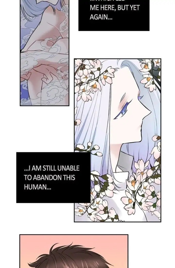 Read To Catch a Falling Star chapter 43 image 28 on Lezhin