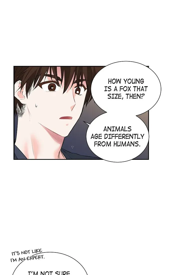 Read To Catch a Falling Star chapter 45.4 image 25 on Lezhin