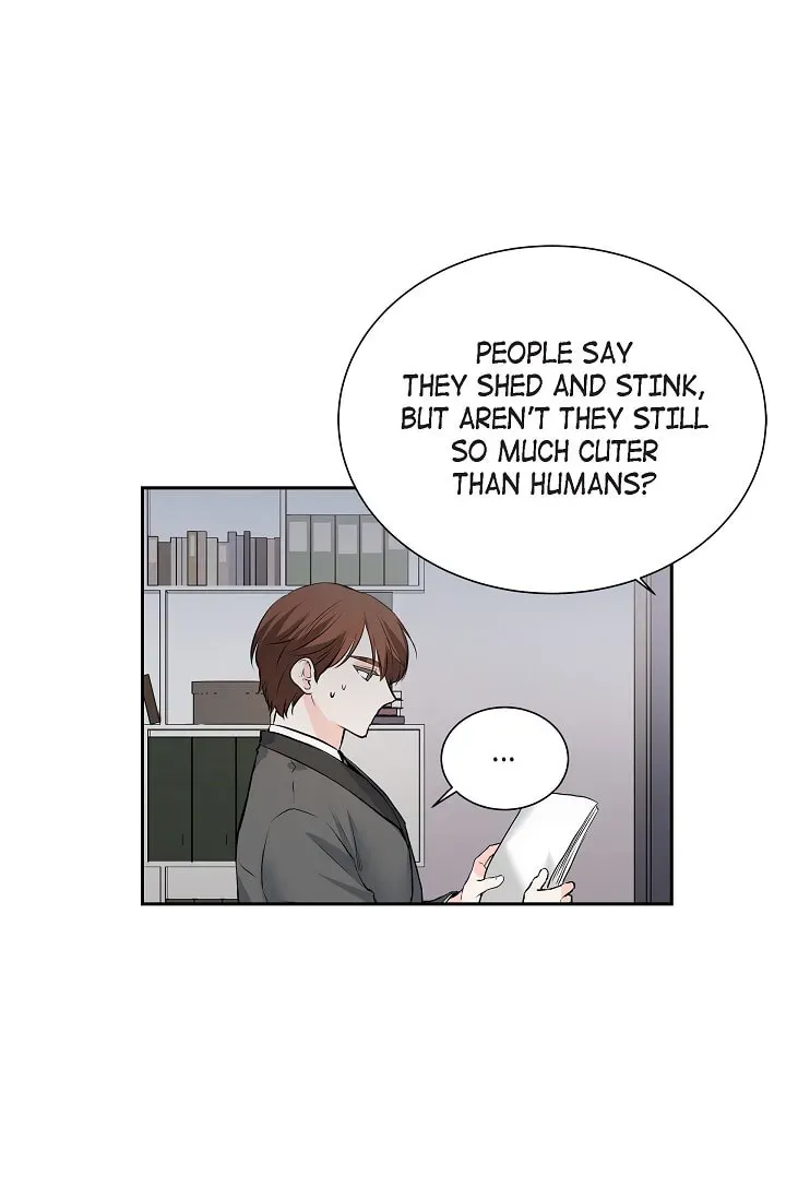 Read To Catch a Falling Star chapter 45.6 image 12 on Lezhin