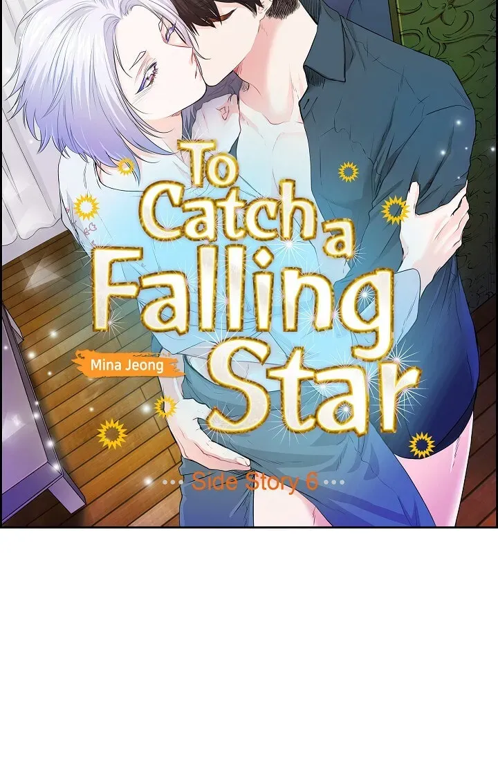 Read To Catch a Falling Star chapter 45.6 image 5 on Lezhin