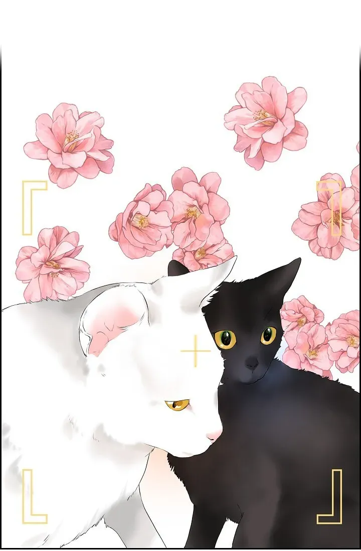 Read To Catch a Falling Star chapter 45.6 image 6 on Lezhin