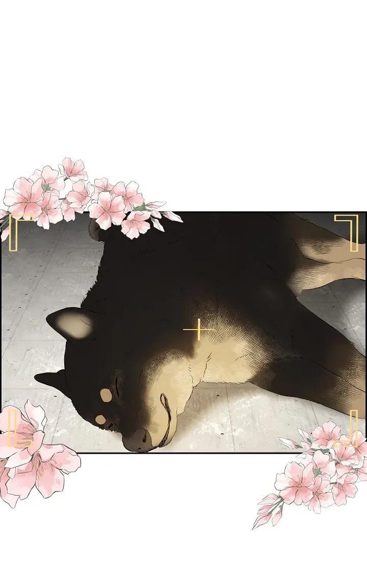 Read To Catch a Falling Star chapter 45.6 image 7 on Lezhin