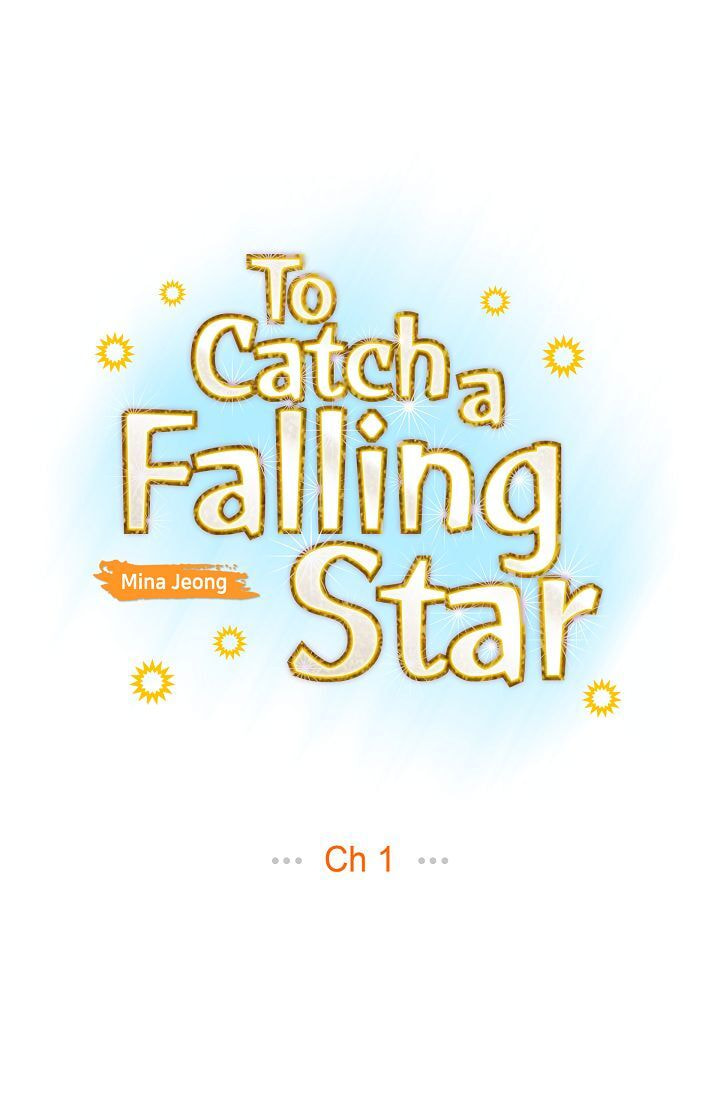 Read To Catch a Falling Star chapter 1 image 17 on Lezhin