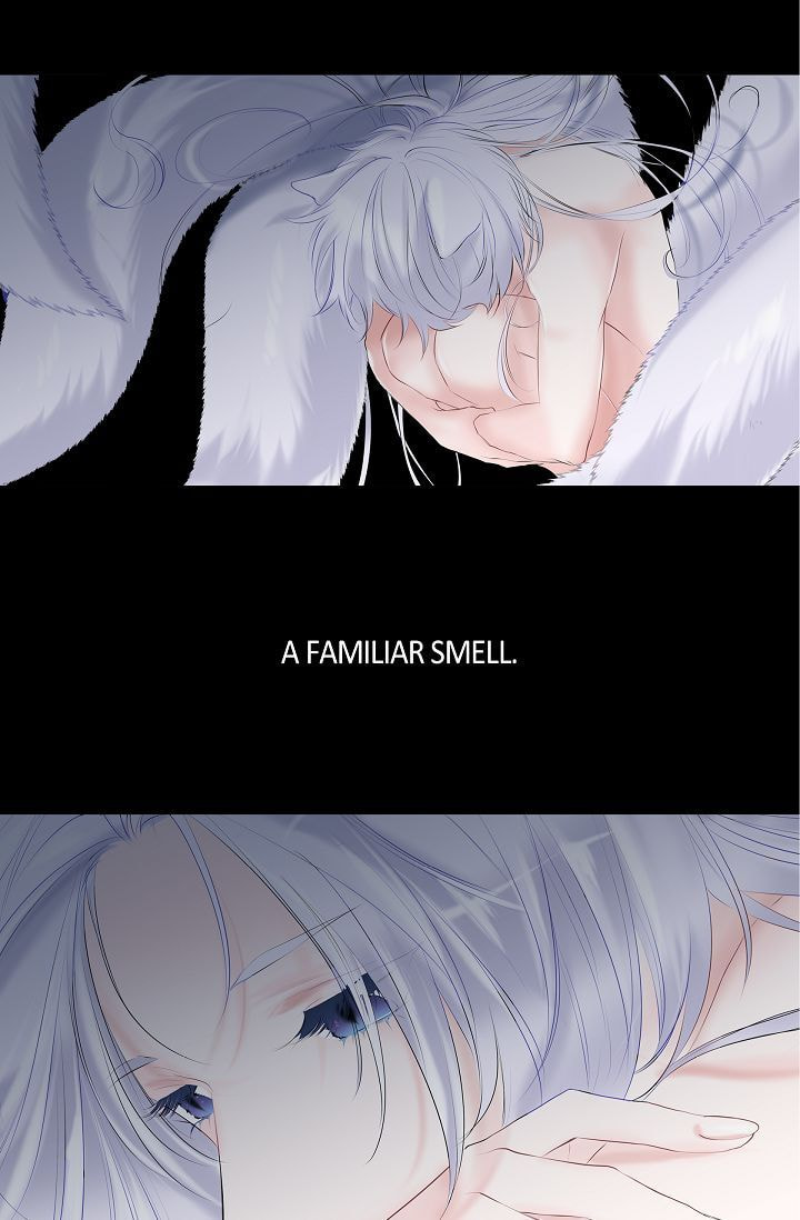 Read To Catch a Falling Star chapter 1 image 45 on Lezhin