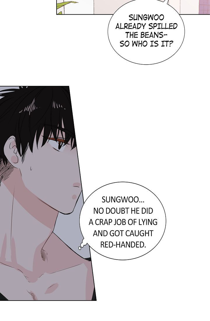 Read To Catch a Falling Star chapter 10 image 15 on Lezhin