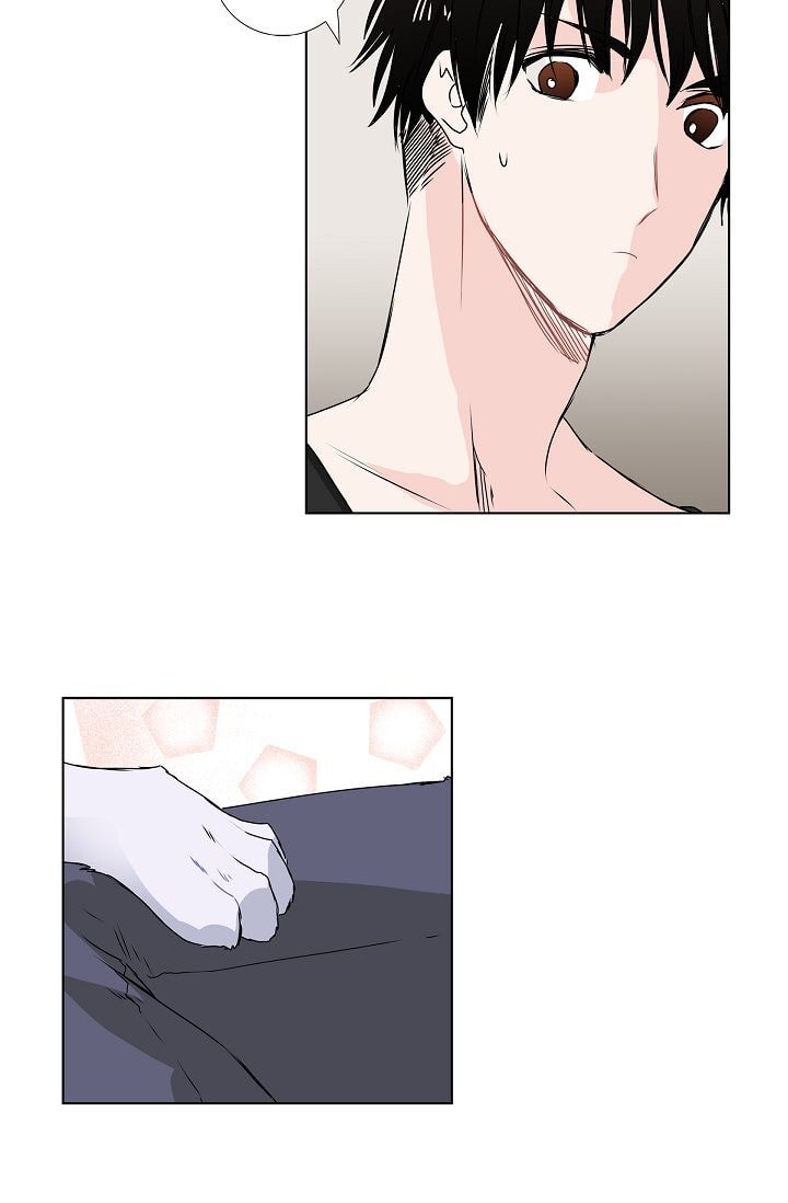 Read To Catch a Falling Star chapter 10 image 18 on Lezhin