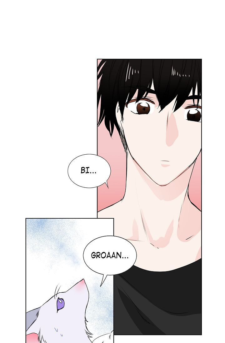Read To Catch a Falling Star chapter 10 image 19 on Lezhin