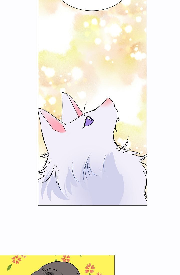 Read To Catch a Falling Star chapter 10 image 26 on Lezhin