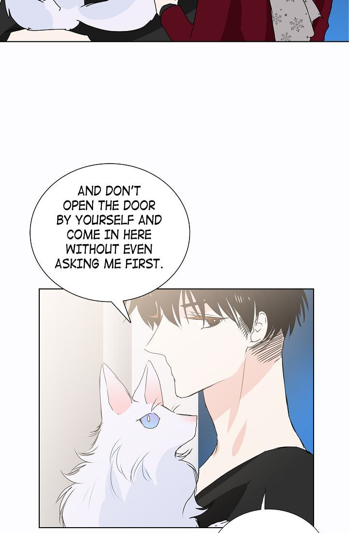 Read To Catch a Falling Star chapter 10 image 32 on Lezhin