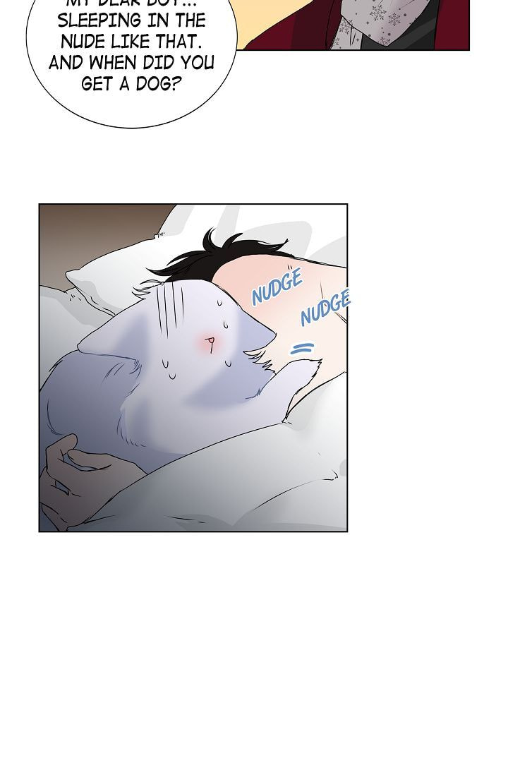 Read To Catch a Falling Star chapter 10 image 5 on Lezhin