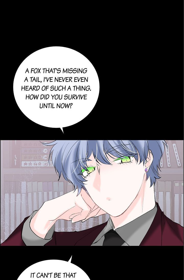 Read To Catch a Falling Star chapter 13 image 21 on Lezhin