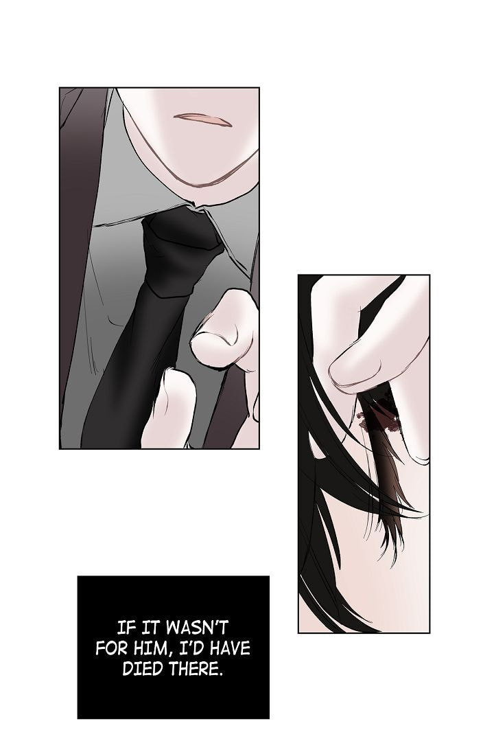 Read To Catch a Falling Star chapter 13 image 31 on Lezhin