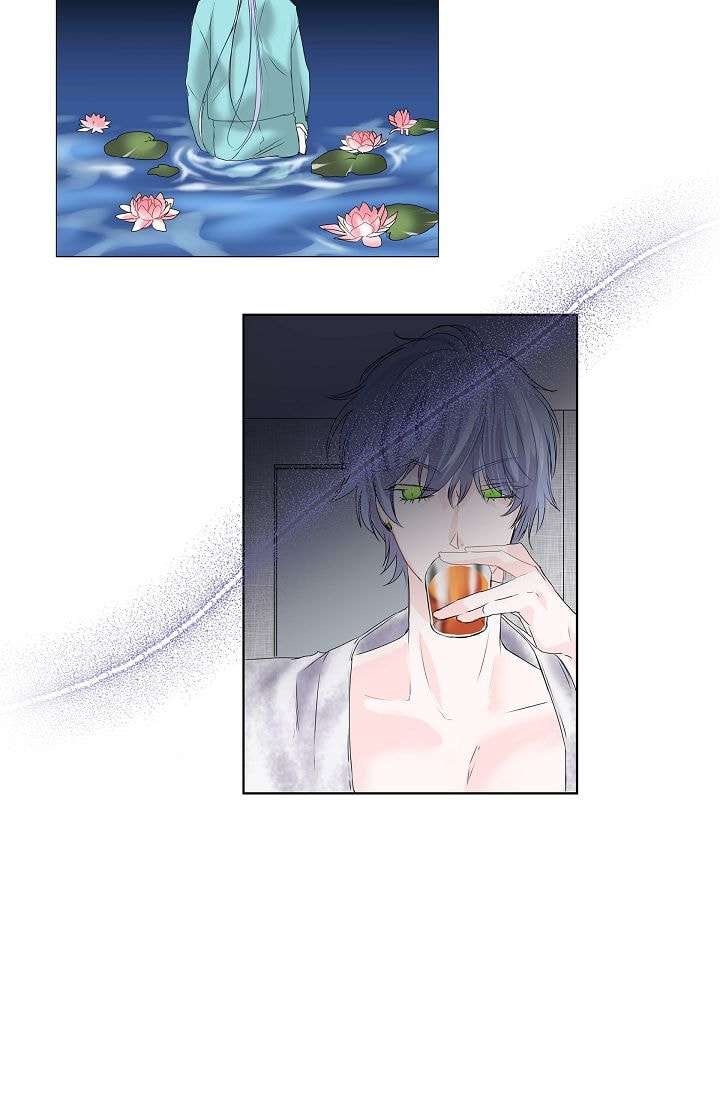 Read To Catch a Falling Star chapter 14 image 47 on Lezhin