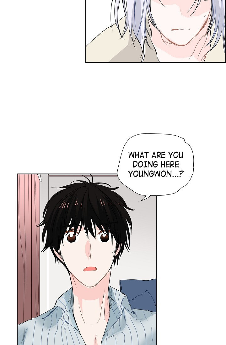 Read To Catch a Falling Star chapter 17 image 37 on Lezhin