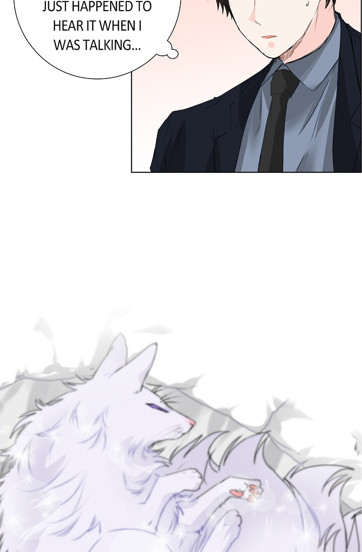 Read To Catch a Falling Star chapter 18 image 25 on Lezhin