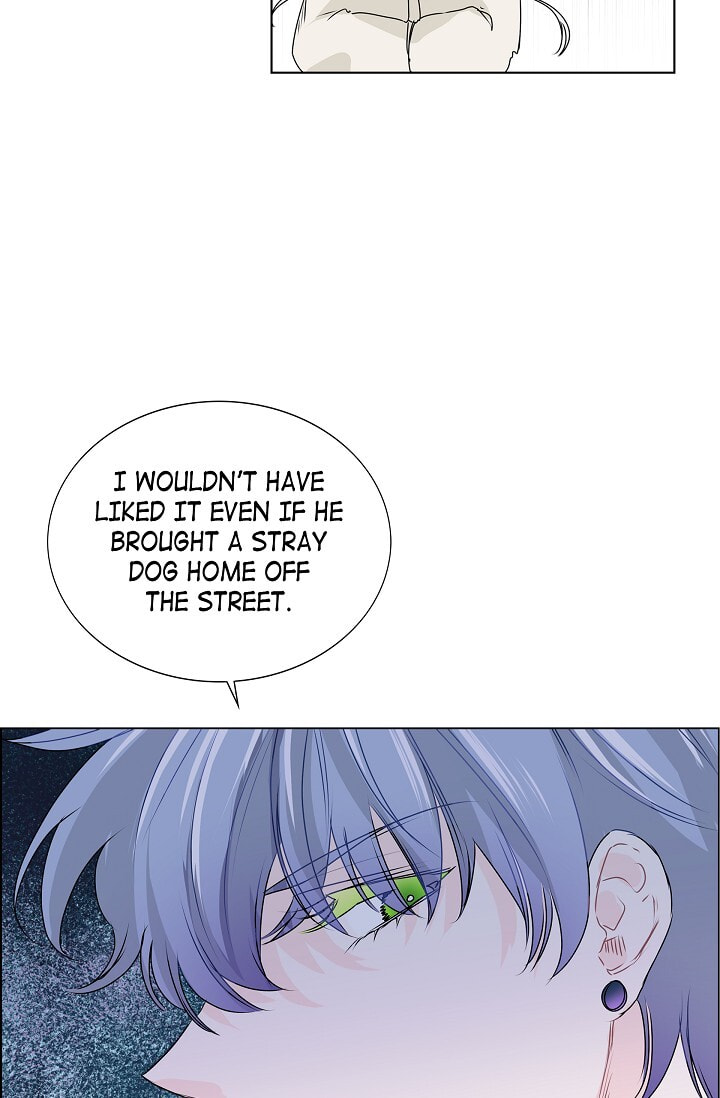 Read To Catch a Falling Star chapter 18 image 5 on Lezhin