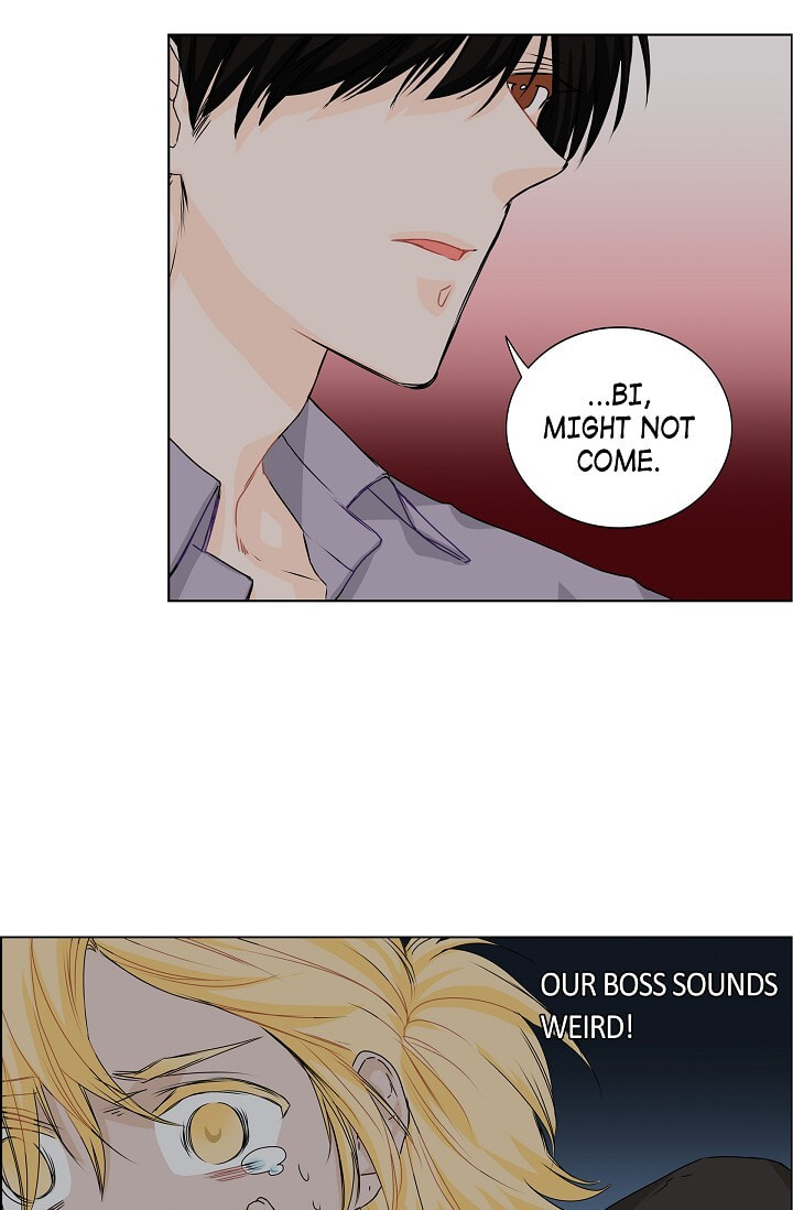 Read To Catch a Falling Star chapter 20 image 5 on Lezhin