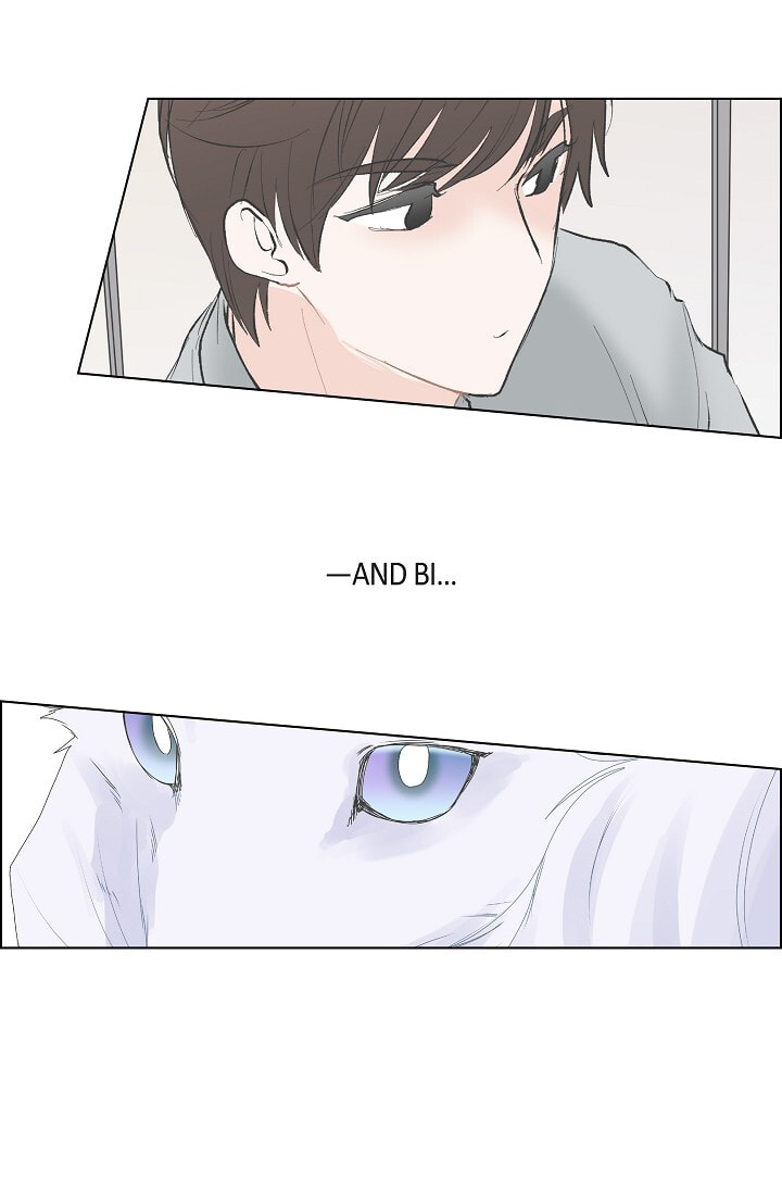 Read To Catch a Falling Star chapter 26 image 36 on Lezhin