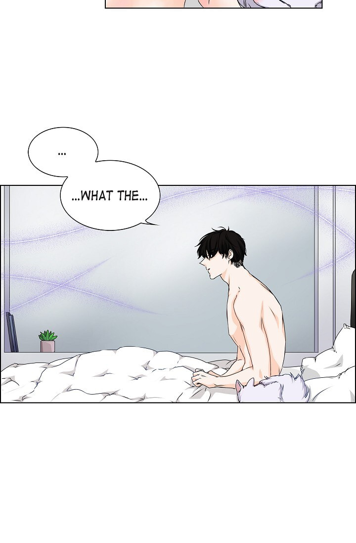 Read To Catch a Falling Star chapter 28 image 27 on Lezhin