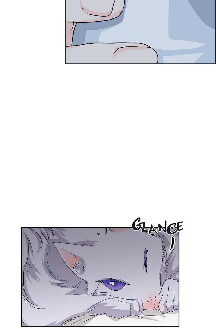 Read To Catch a Falling Star chapter 28 image 31 on Lezhin
