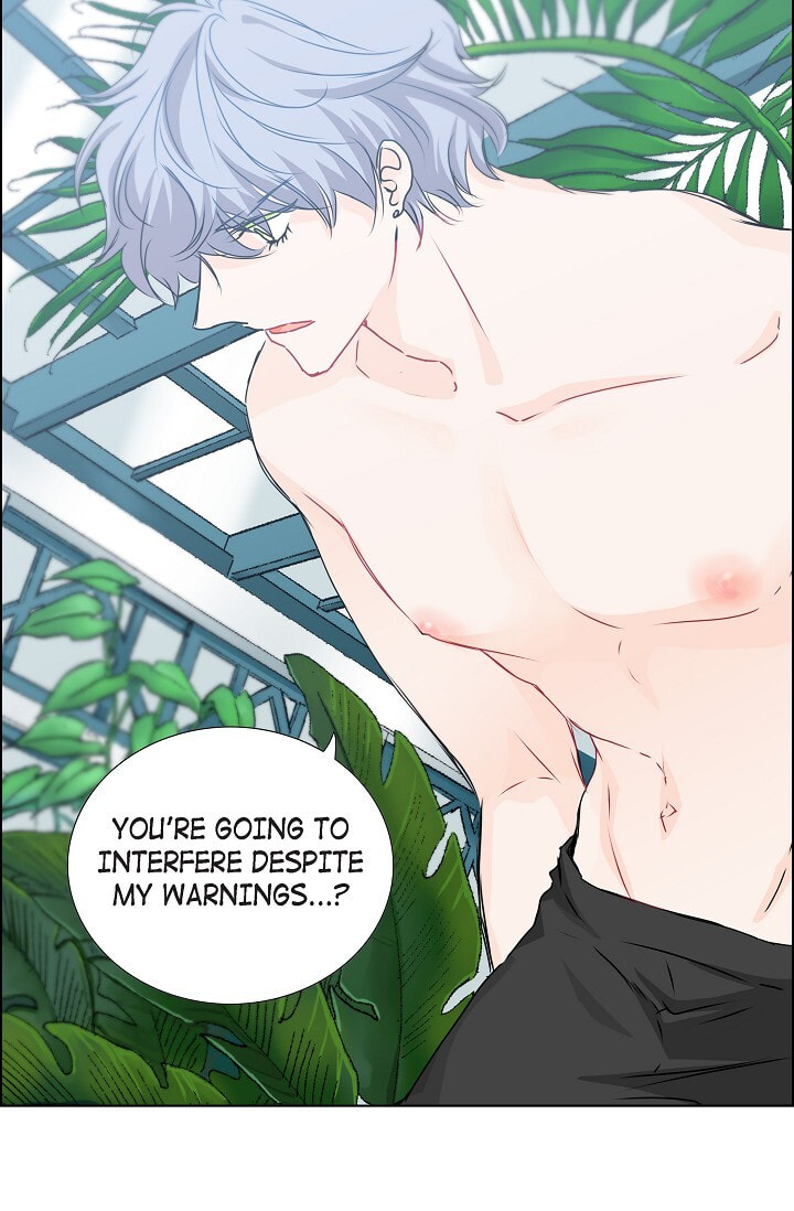 Read To Catch a Falling Star chapter 31 image 22 on Lezhin