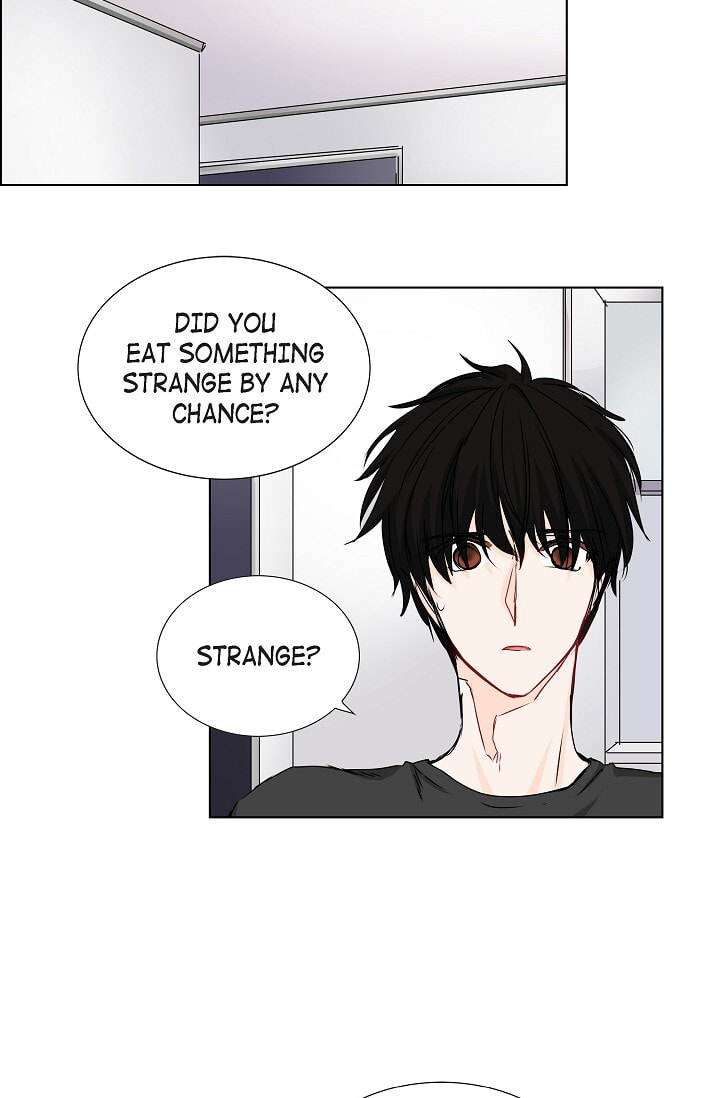 Read To Catch a Falling Star chapter 31 image 9 on Lezhin