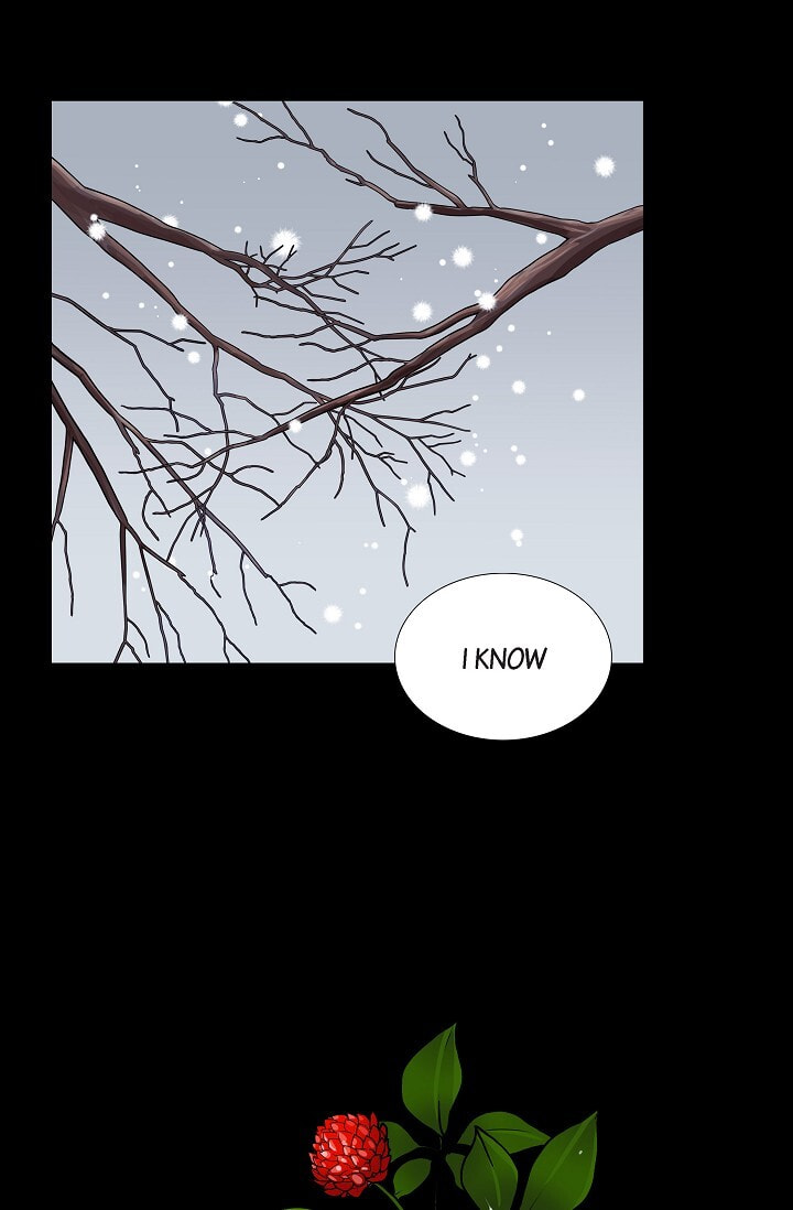 Read To Catch a Falling Star chapter 32 image 15 on Lezhin